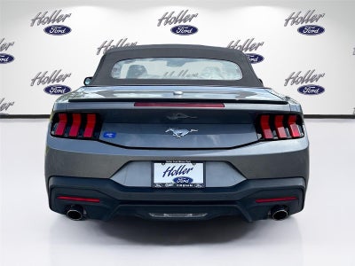 2025 Ford Mustang EcoBoost Premium