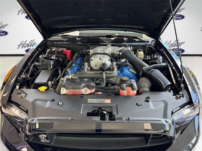 2014 Ford Shelby GT500 Base