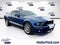 2007 Ford Mustang Shelby GT500