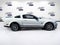2007 Ford Mustang Shelby