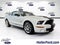 2007 Ford MUSTANG SHELBY GT500
