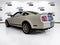 2007 Ford MUSTANG SHELBY GT500