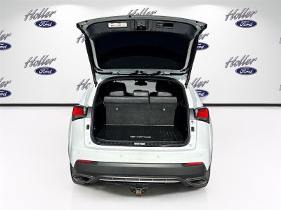 2020 Lexus NX NX 300 F SPORT