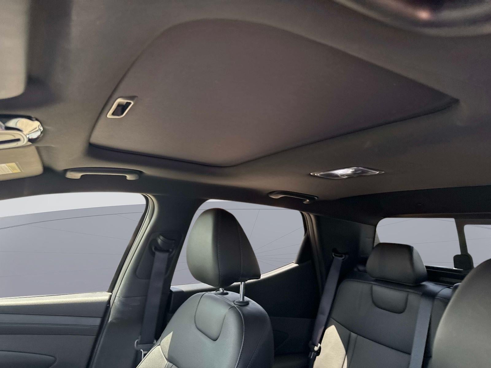 2025 Hyundai SANTA CRUZ SEL Activity