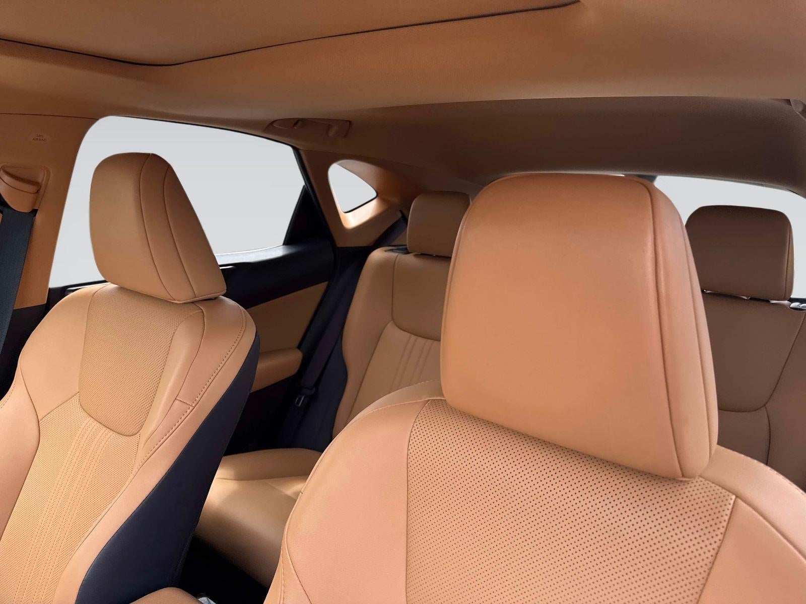 2024 Lexus NX NX 350h Premium