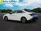 2025 Hyundai ELANTRA SEL SPO SEL Sport