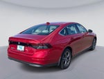 2023 Honda Accord Sedan EX